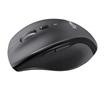 LOGITECH M705 Mouse, Wireless (910-001950)