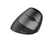 TRUST Bayo Ergonomic Rechargeable Wireless Mouse