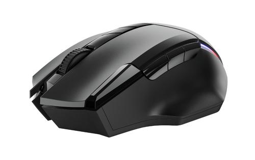 TRUST GXT 131 Ranoo Wireless Gaming Mouse (24178)