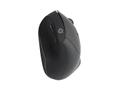 CONCEPTRONIC ORAZIO02DE Ergnomische Tastatur- und Maus (ORAZIO02DE)