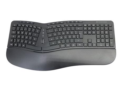 CONCEPTRONIC ORAZIO02DE Ergnomische Tastatur- und Maus (ORAZIO02DE)