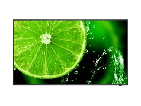 Sharp / NEC 55" E558 UHD 350NITS 16/7 (60005054)
