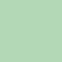 Image Coloraction Image A4 120g pastel green 250
