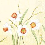 Frokostserviet,  Duni, Daffodil Joy, 3-lags, 1/4 fold, 33x33cm, papir