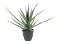EMO Kunstig plante Aloe vera 45cm