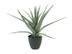 EMO Kunstig plante Aloe vera 56cm