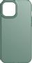 TECH21 Evo Slim -iskunsuojakuori, iPhone 12 Pro Max, vihreä