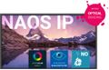Newline IP-Business Series -  Interaktiv monitor 65" - UHD - PCAP