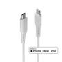 LINDY 0.5m USB C to Lightning Cable white