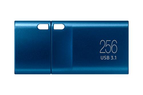 SAMSUNG USB Type-C 256GB (MUF-256DA/APC)