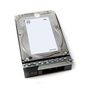 DELL 12TB 7.2K RPM NLSAS 12GBPS 512E 3.5IN INT