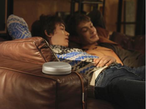 Bang & Olufsen Beosound A1 2nd Gen Grey Mist (1734001)