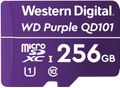 WESTERN DIGITAL WD Purple SC QD101 WDD256G1P0C - Flash memory card - 256 GB - UHS-I U1 / Class10 - microSDXC UHS-I - purple