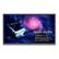 BENQ RE6501 | 65"" 3840x2160 400Nits IR Touch