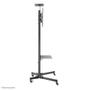 Neomounts by Newstar Mobile Flatscreen Floor Stand height: 155-170 cm 32-55inch Black (PLASMA-M1700E)