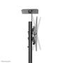 Neomounts by Newstar Mobile Floor Stand 32-55i Black (PLASMA-M1700E)