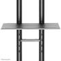 Neomounts by Newstar NEOMOUNTS PLASMA-M1700E TV/ Monitor Mobile FloorStand 32-55inch height 155-170cm Tilt black (PLASMA-M1700E)