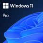 MICROSOFT Win Pro 11 64-bit All Lng PK Lic Online DwnLd NR, ESD Software Download incl. Activation-Key