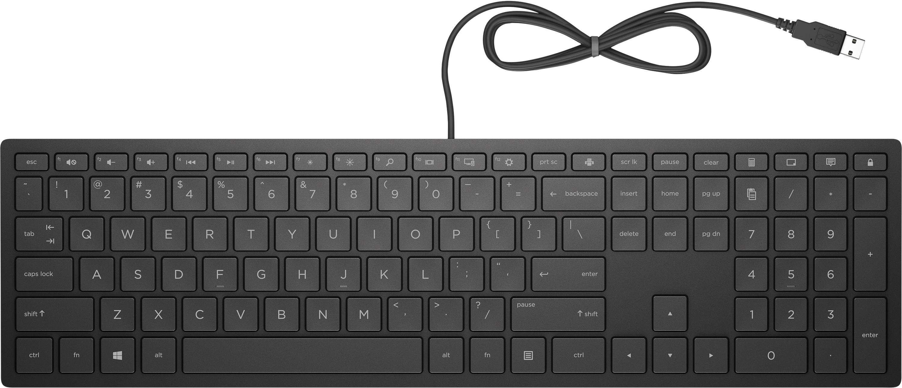 Клавиатура простой. Клавиатура HP k2500 (e5e78aa) Black USB. HP Pavilion wired Keyboard 300. Клавиатура HP Pavilion 300. Клавиатура HP 300 Russ черный (4ce96aa).