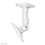 Neomounts by Newstar SPEAKER WALL- AND CEILING MOUNT TWO SPEAKERS - UNIVERSAL MOUNT EN