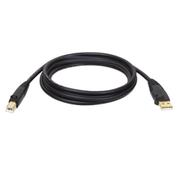 TRIPP LITE 1.83 M USB HIGH SPEED CABLE M/M   CABL
