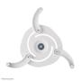 Neomounts by Newstar Projector Ceiling Mount (BEAMER-C80WHITE)