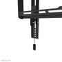 NEOMOUNTS WL35-550BL14,  Tiltable TV  (WL35-550BL14)