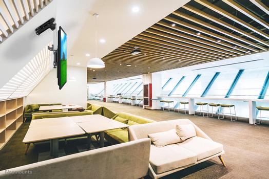 Neomounts by Newstar Flatscreen Ceiling Mount (FPMA-C020BLACK)