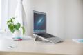 Neomounts by Newstar NSLS025 Laptop Desk Stand Colour Silver (NSLS025)