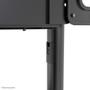 Neomounts by Newstar NS-M1250BLACK Mobile Flat Screen Floor Stand height: 160cm 37-70inch Black (NS-M1250BLACK)