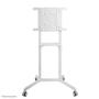 Neomounts by Newstar NS-M1250WHITE Mobile Flat Screen Floor Stand height 160cm 37-70inch White (NS-M1250WHITE)