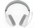 LENOVO Legion H600 Wireless Headset stingray (GXD1C98345)
