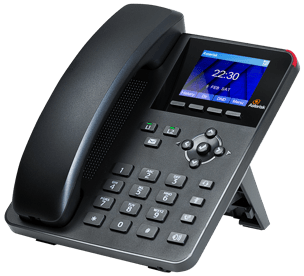 DIGIUM Phone A22 HD Entry-level Gigabit PoE (1TELA022LF)