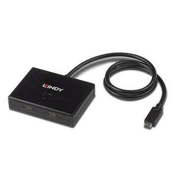 LINDY 2 Port USB 3.2 Gen 2 Type C (43329)
