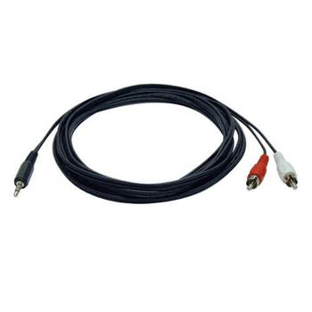 TRIPP LITE 1.83 M MINI STEREO TO 2-RCA   CABL (P314-012            )
