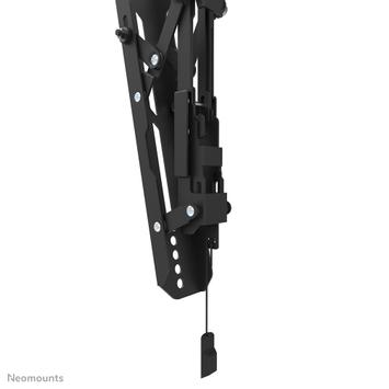 Neomounts by Newstar veggfeste for 42-86" TV VESA 100x100 - VESA 600x400, maks belastning 60kg (WL35S-850BL16)