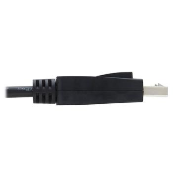 TRIPP LITE Displayport 1,4 Cable With  (P580-010-V4)