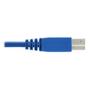 TRIPP LITE DISPLAYPORT KVM CABLE KIT 4K DP USB 3.2 3.5 MM 3.05 M CABL (P785-DPKIT10)