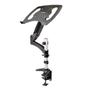 STARTECH DESK MOUNT LAPTOP ARM (ARMUNONB1)