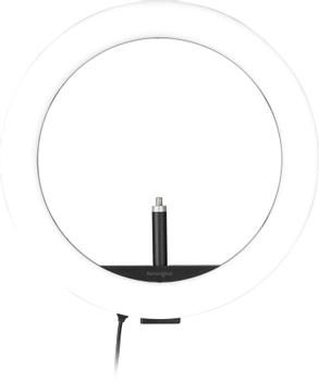 KENSINGTON n L1000 - Ring light - 1 heads x 96 lamp - LED - DC (K87653WW)