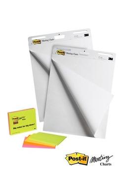 3M Promo Meeting Charts 559+ 4 Meeting Notes (7000080909)
