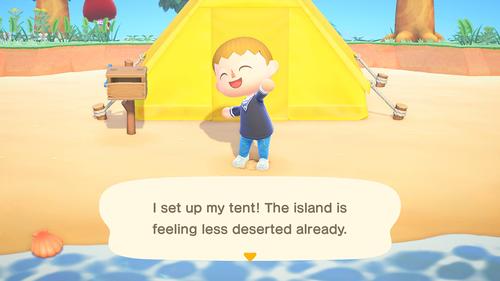 NINTENDO Animal Crossing  New Horizons (10002027)