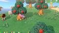 NINTENDO Animal Crossing  New Horizons (10002027)