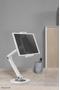 Neomounts by Newstar DS15-550WH1 universal tablet (DS15-550WH1)