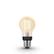PHILIPS Hue banka E27 7W W 2100K BT filament