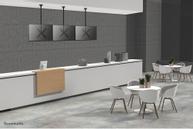 Neomounts by Newstar Flat Screen Celling Mount (FPMA-C340BLACK)