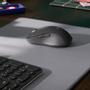 LOGITECH h Signature M650 L for Business - Mouse - right-handed - 5 buttons - wireless - Bluetooth,  2.4 GHz - Logitech Logi Bolt USB receiver - graphite (910-006348)