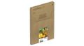 EPSON Ink/604 Pineapple EasyMail CMYK (C13T10G64510)