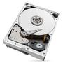 SEAGATE IronWolf Pro 10TB 2Tb SATA 6G (ST10000NT001)