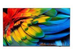 PHILIPS 43 Business TV 4K UHD Chromecast